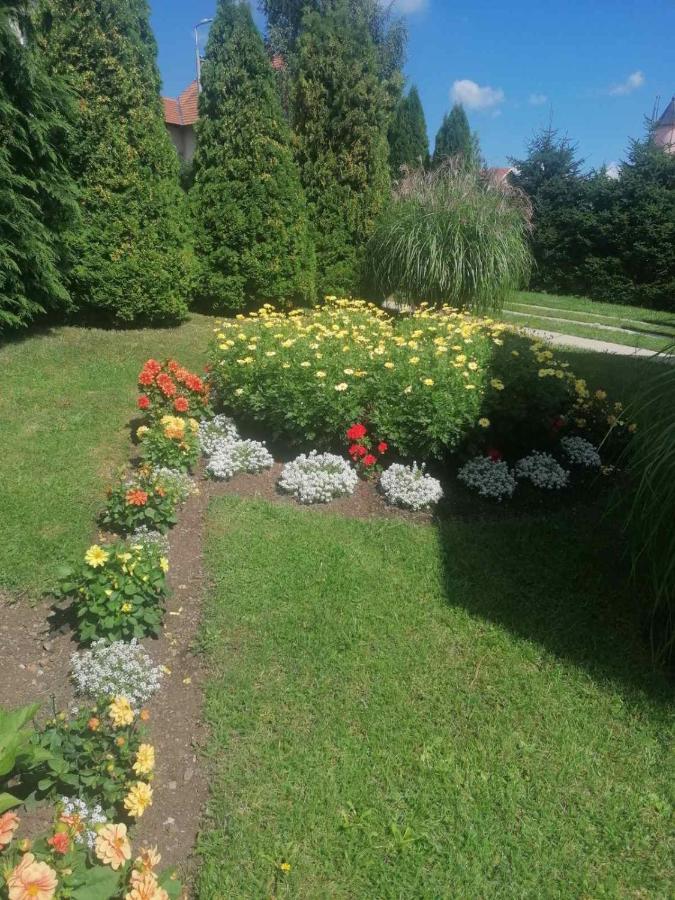 זלאטיבור Bozovic Mv Apartments מראה חיצוני תמונה