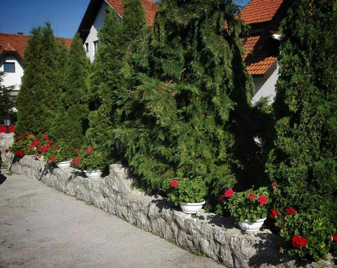 זלאטיבור Bozovic Mv Apartments מראה חיצוני תמונה